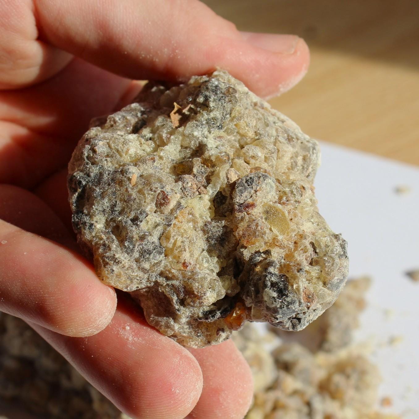 Rarest Frankincense - Boswellia bullata - Floral, piney, citrus incense resin