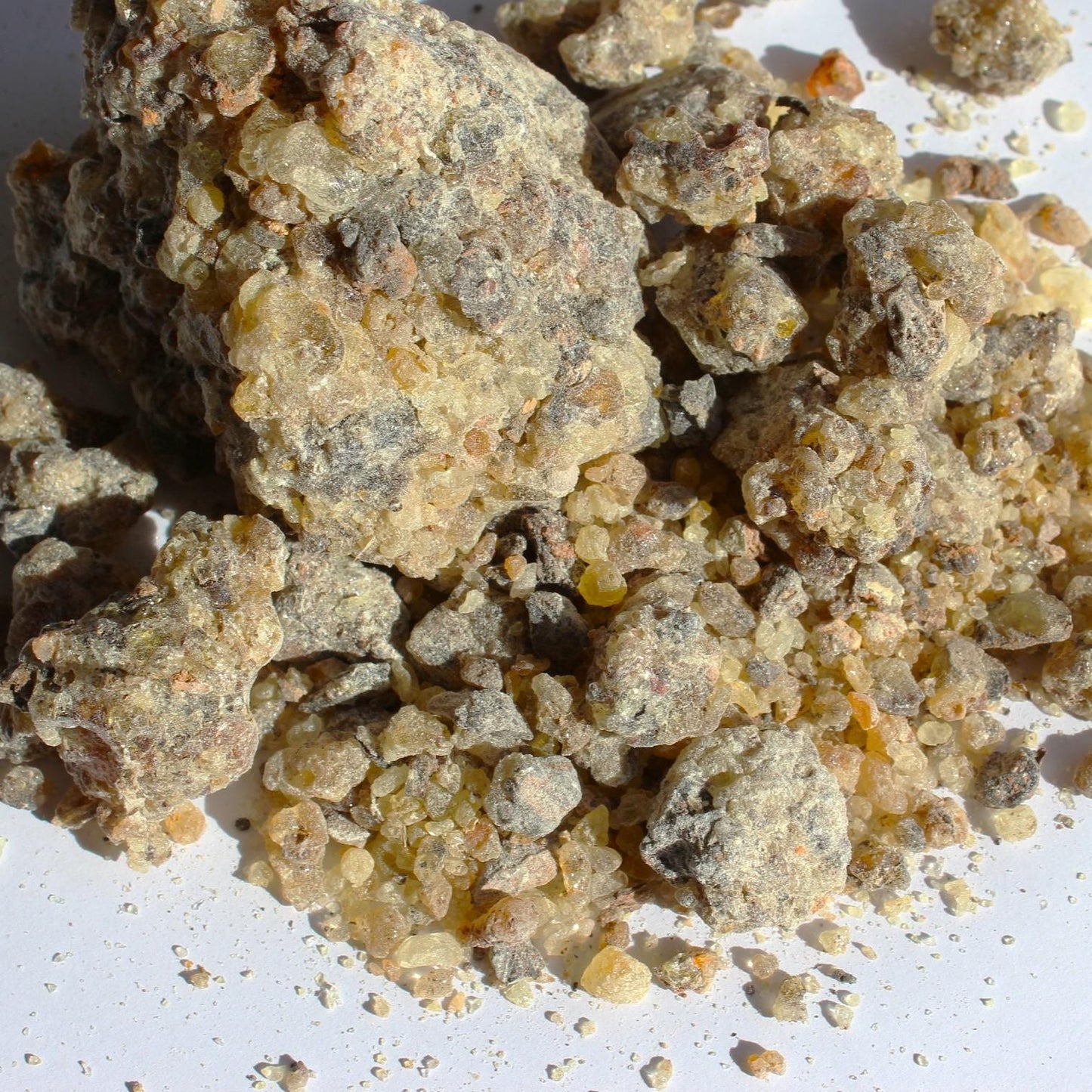 Rarest Frankincense - Boswellia bullata - Floral, piney, citrus incense resin