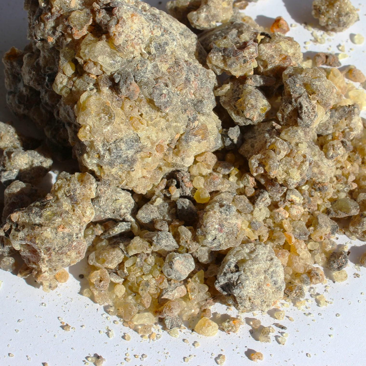 Rarest Frankincense - Boswellia bullata - Floral, piney, citrus incense resin