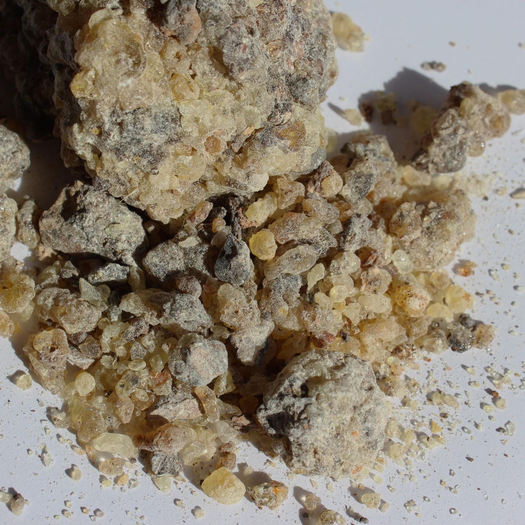 Rarest Frankincense - Boswellia bullata - Floral, piney, citrus incense resin