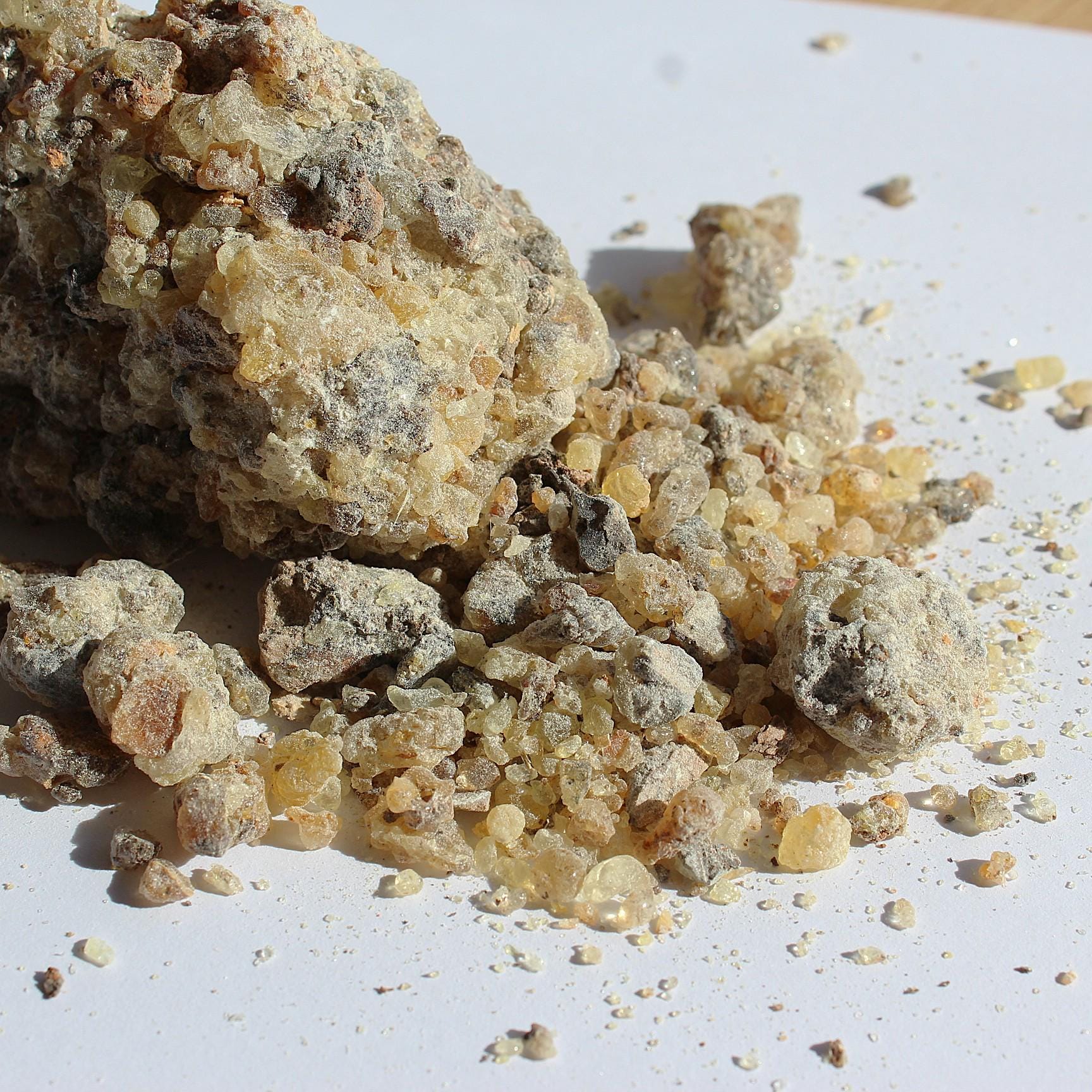 Rarest Frankincense - Boswellia bullata - Floral, piney, citrus incense resin