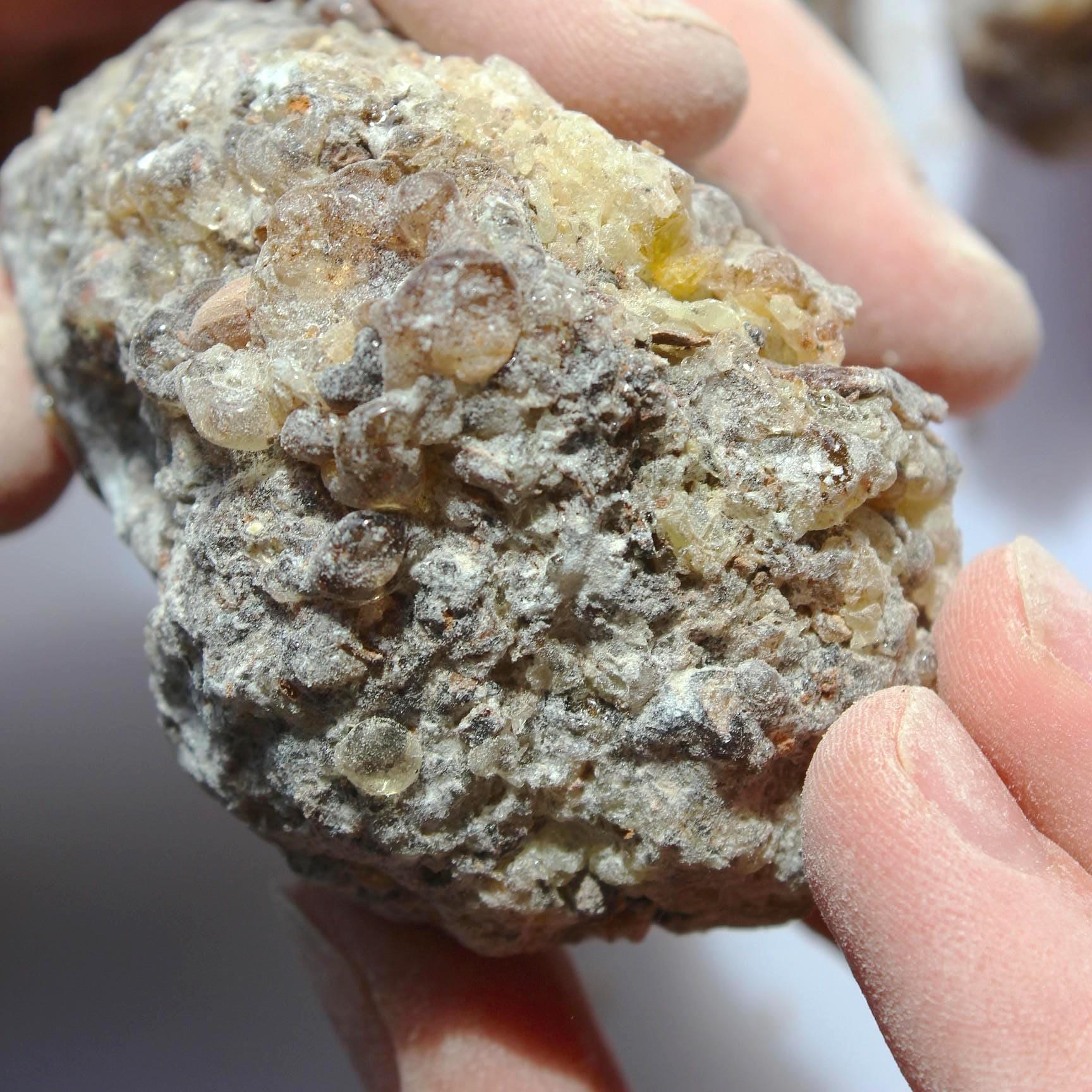 Rare Frankincense - Boswellia ameero - Sweet, piney, spicy incense resin