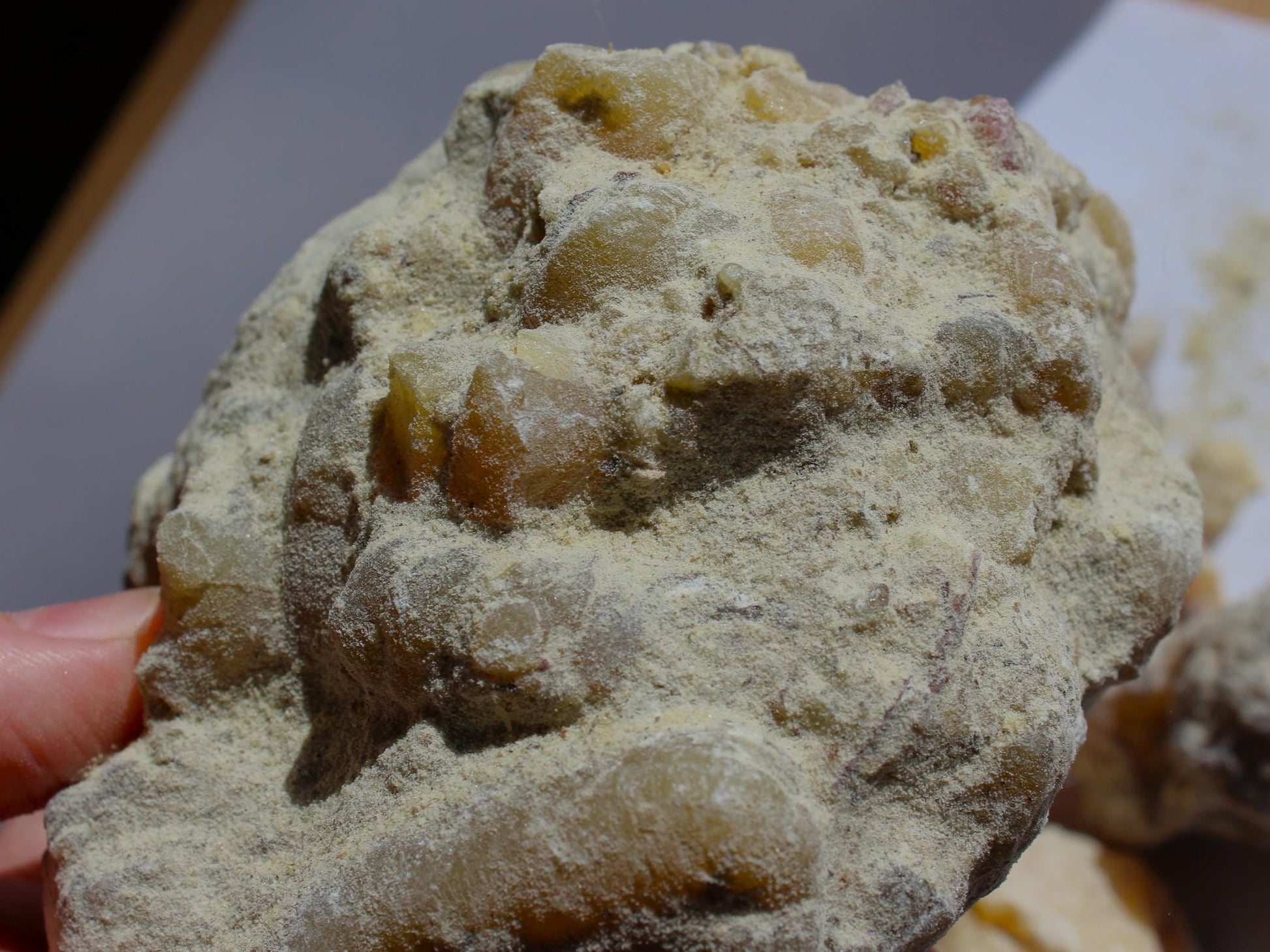 Ocote Copal - Montezuma Pine Resin - Pinus moctezumae