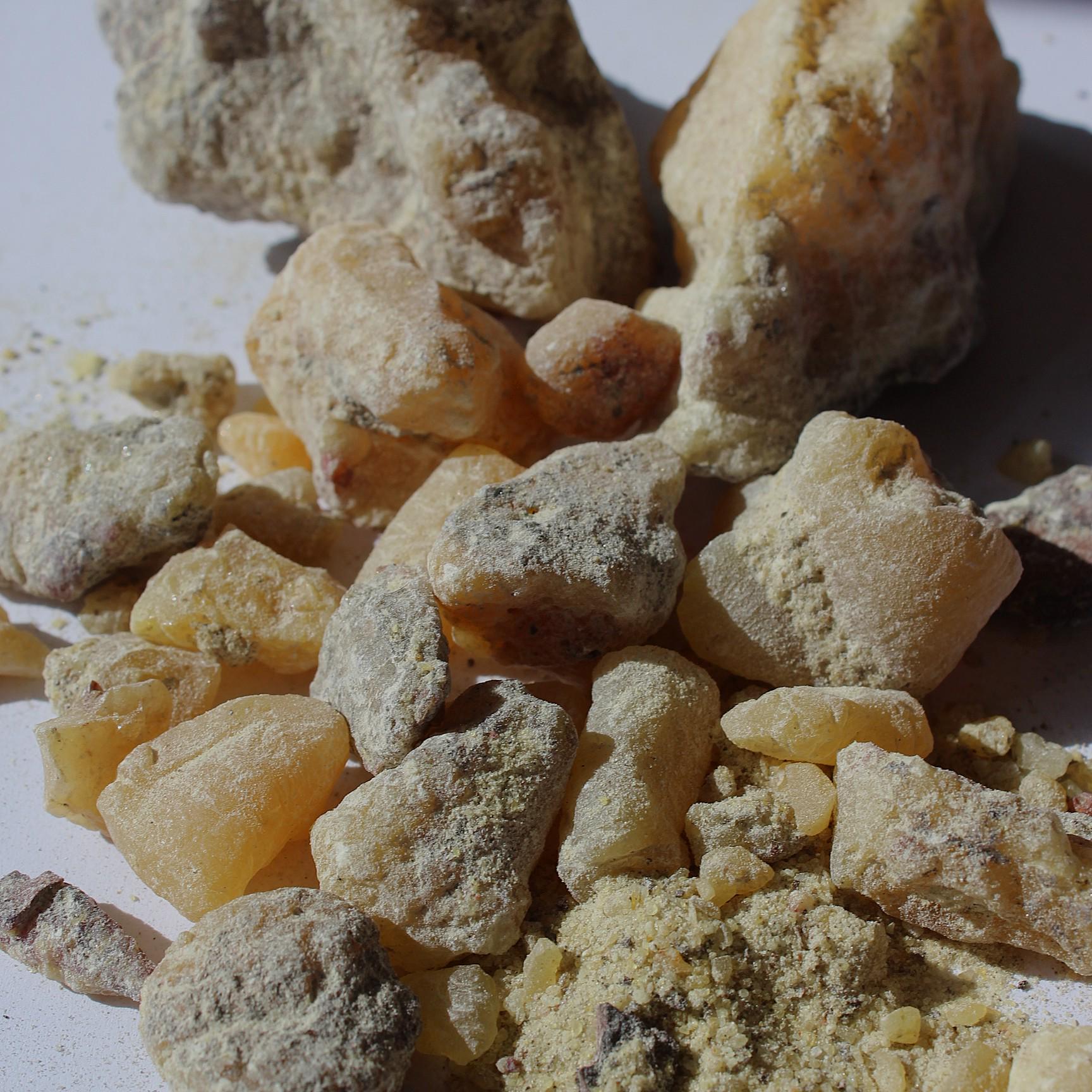Ocote Copal - Montezuma Pine Resin - Pinus moctezumae