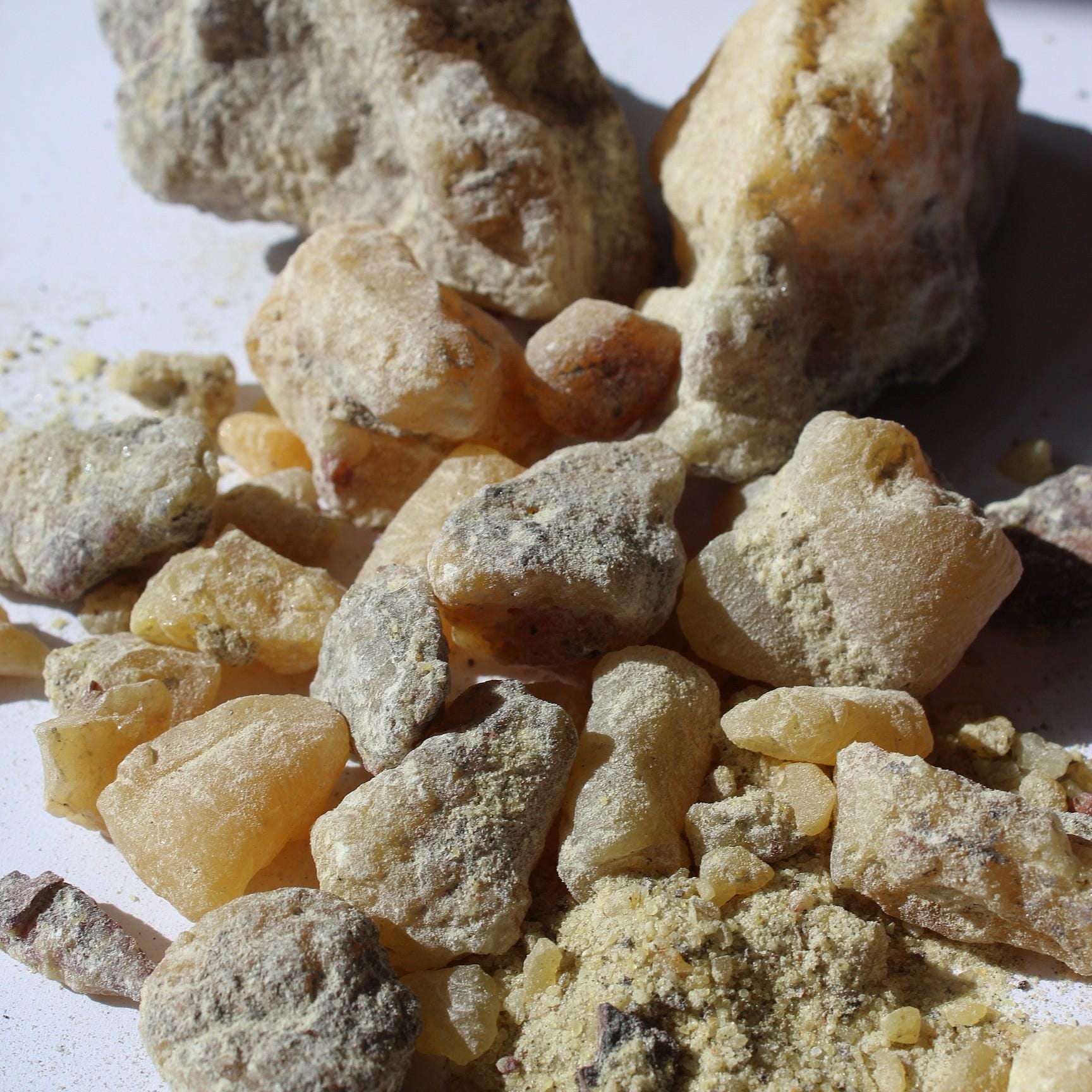 Ocote Copal - Montezuma Pine Resin - Pinus moctezumae