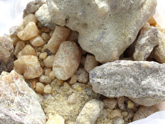 Ocote Copal - Montezuma Pine Resin - Pinus moctezumae