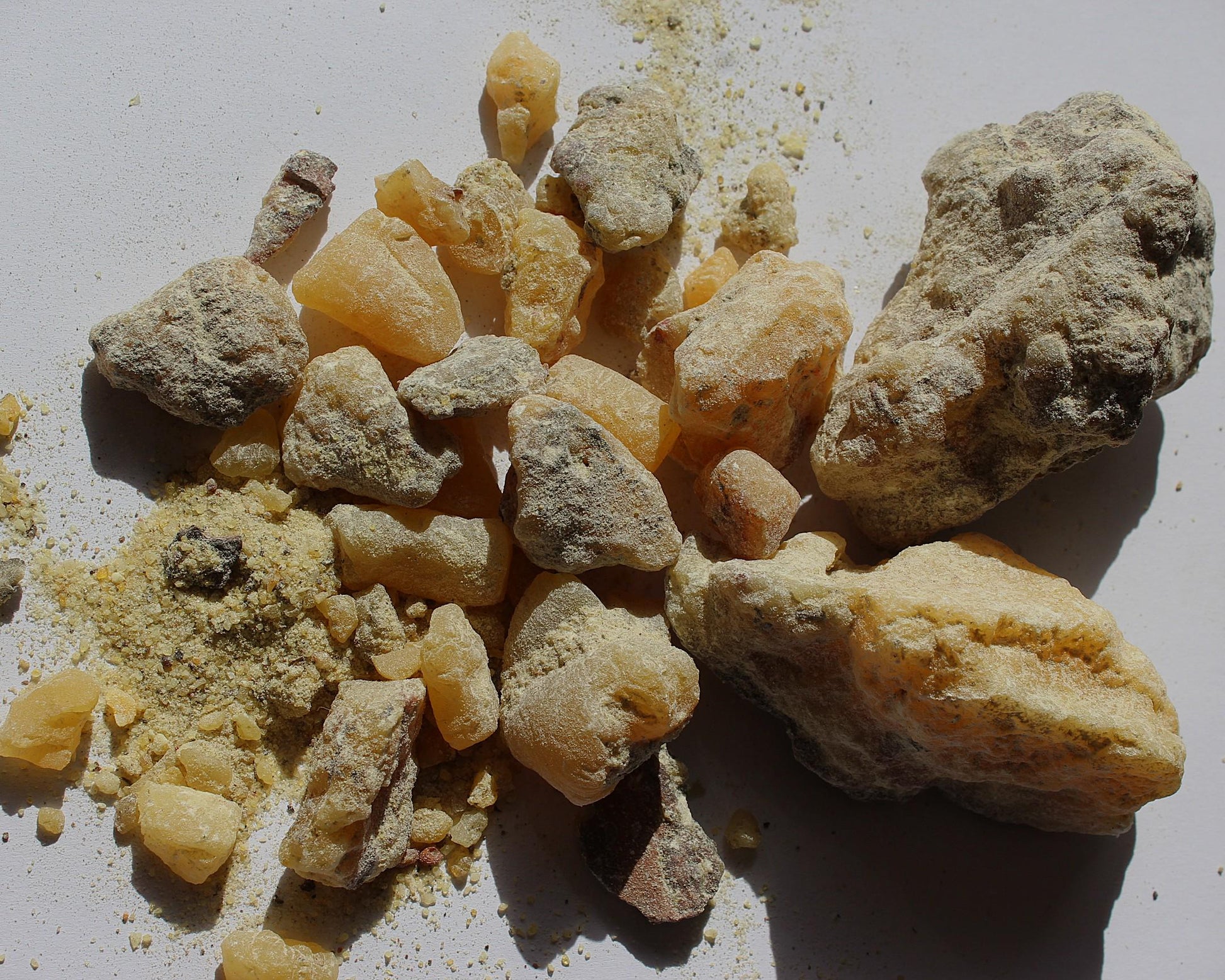 Ocote Copal - Montezuma Pine Resin - Pinus moctezumae