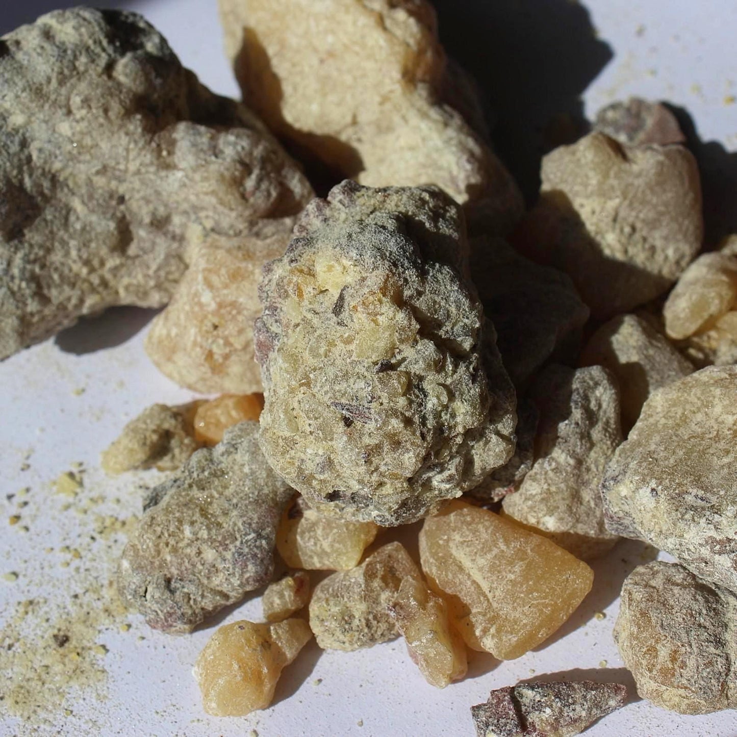 Ocote Copal - Montezuma Pine Resin - Pinus moctezumae