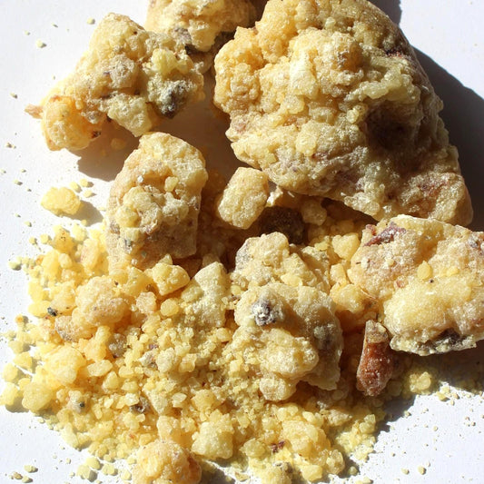 Linaloe Copal - Floral, piney incense resin from Oaxaca - Bursera linanoe