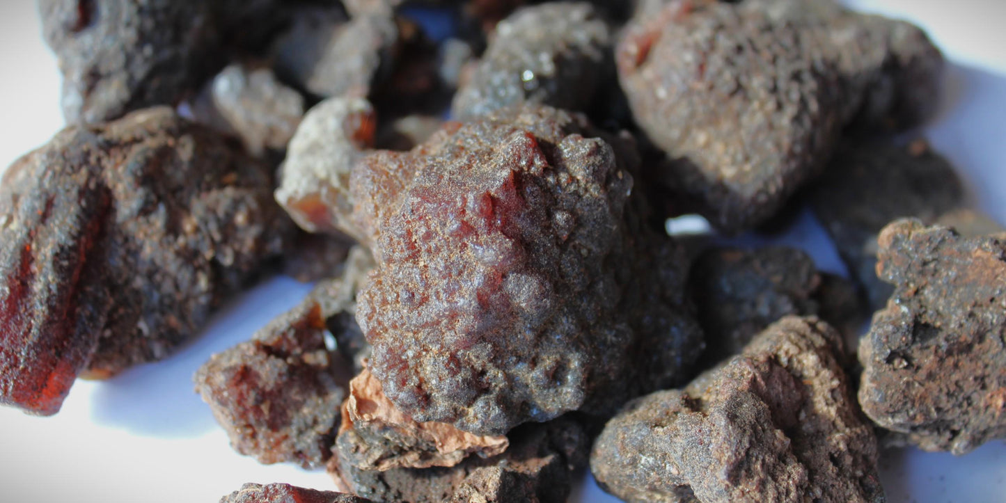 Copal Torote Incense Resin from Mexico