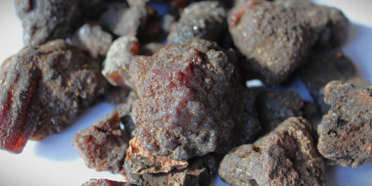 Copal Torote Incense Resin from Mexico