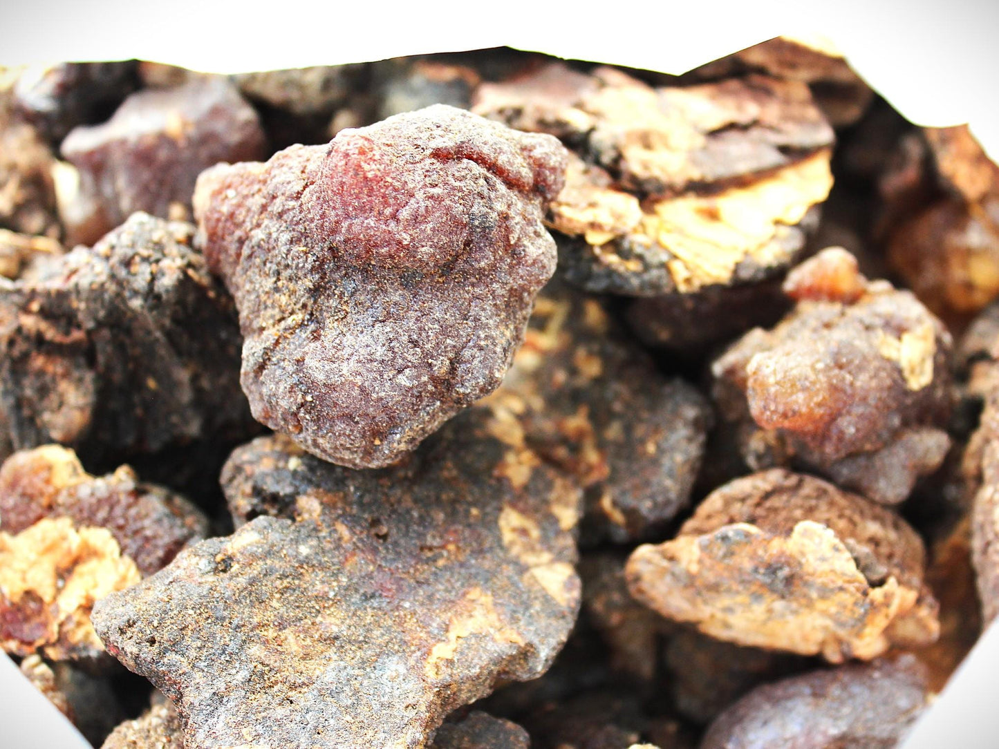 Copal Torote Incense Resin from Mexico
