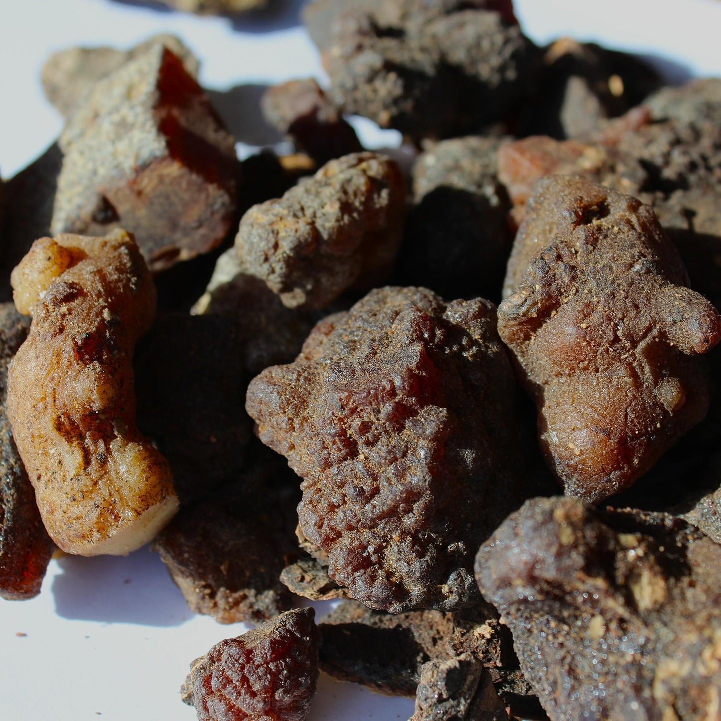 Copal Torote Incense Resin from Mexico