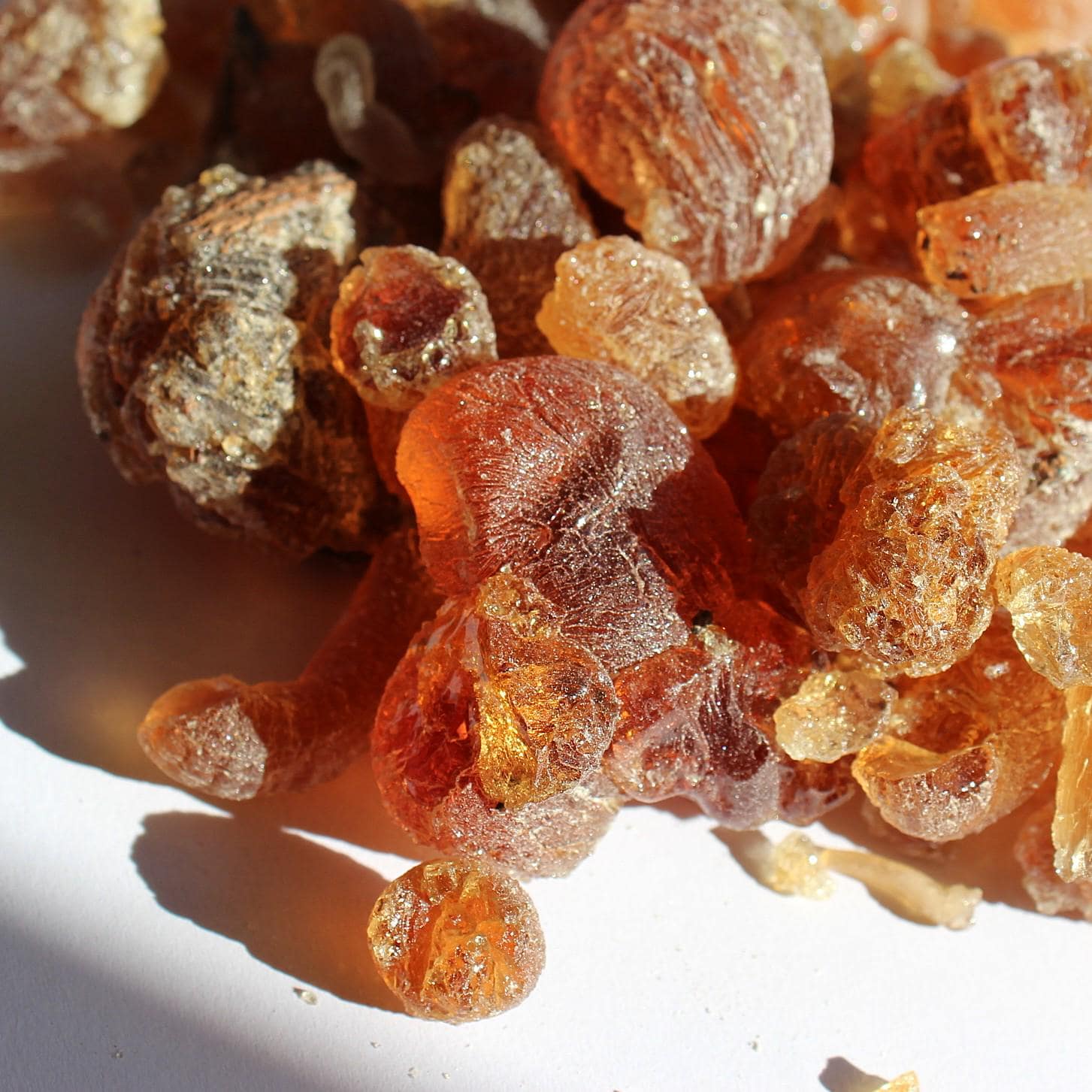 Mesquite Copal - Fruity, sweet, earthy incense resin from Peru - Prosopis alba