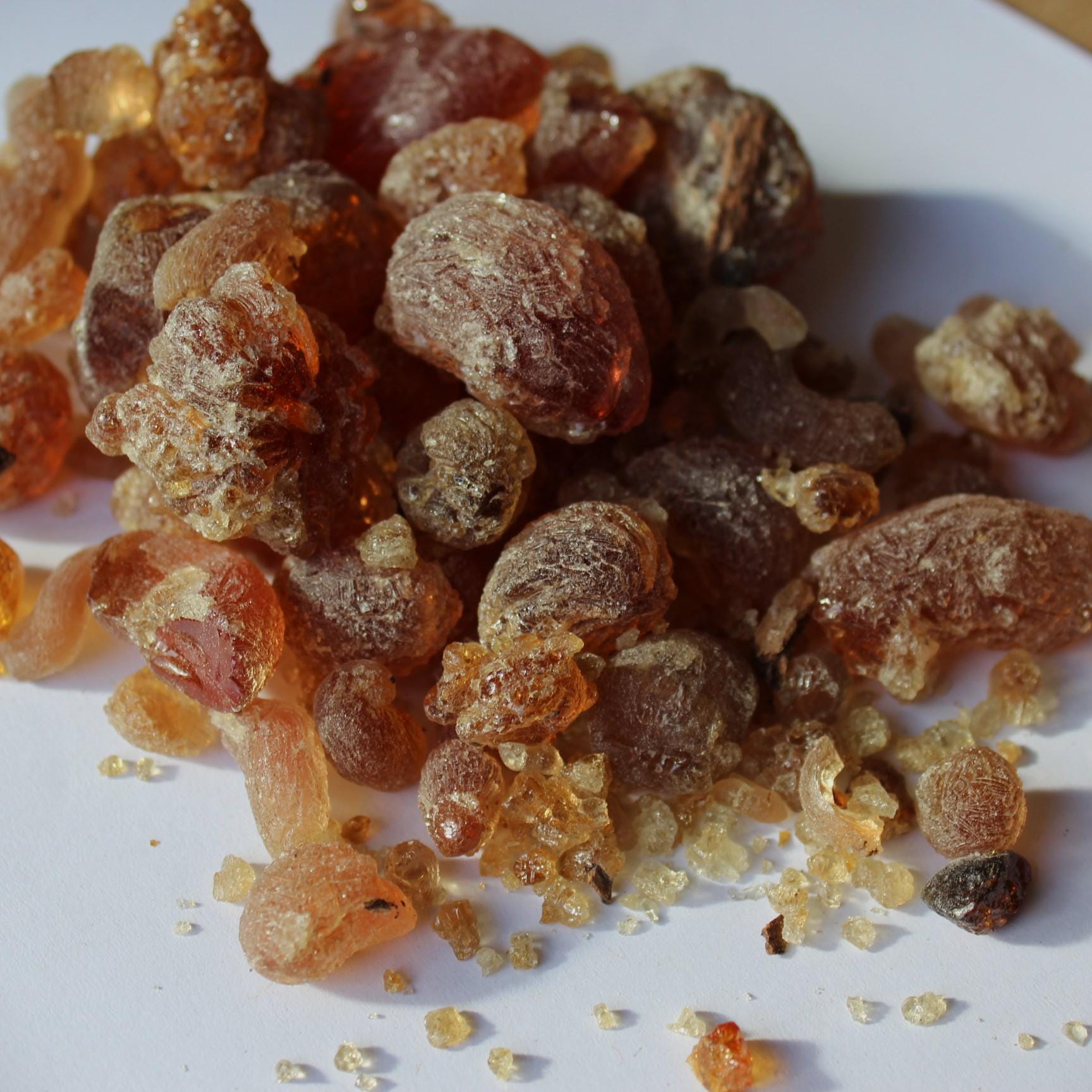 Mesquite Copal - Fruity, sweet, earthy incense resin from Peru - Prosopis alba