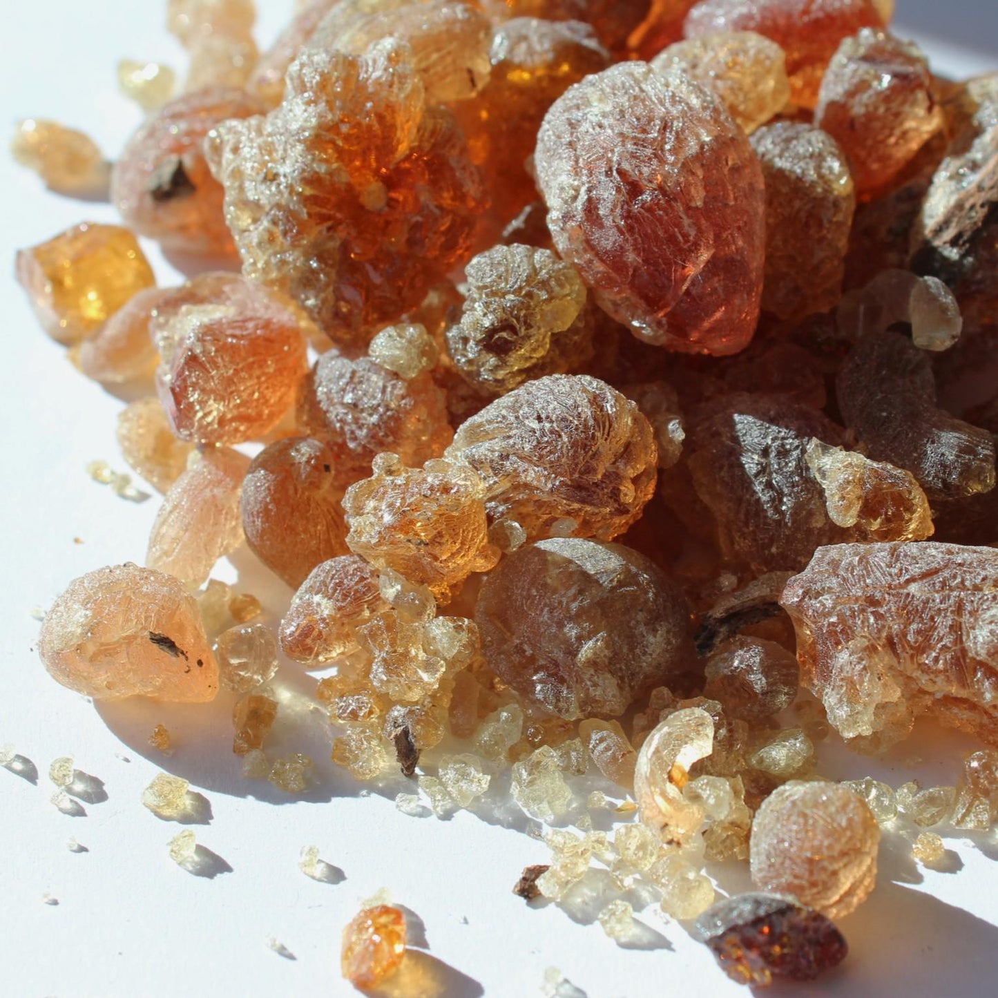 Mesquite Copal - Fruity, sweet, earthy incense resin from Peru - Prosopis alba