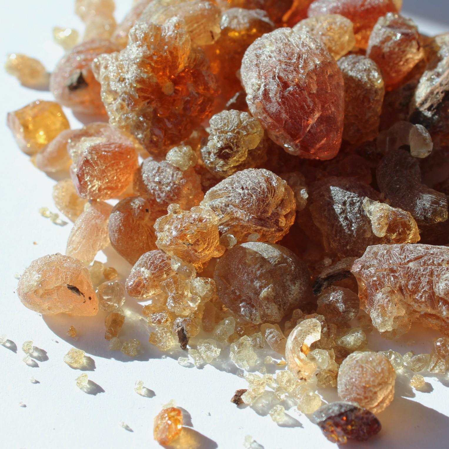 Mesquite Copal - Fruity, sweet, earthy incense resin from Peru - Prosopis alba