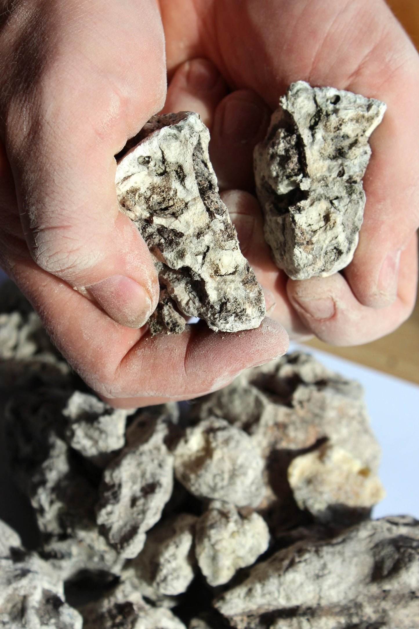 Copal Amazonicum - Incense resin from Peru