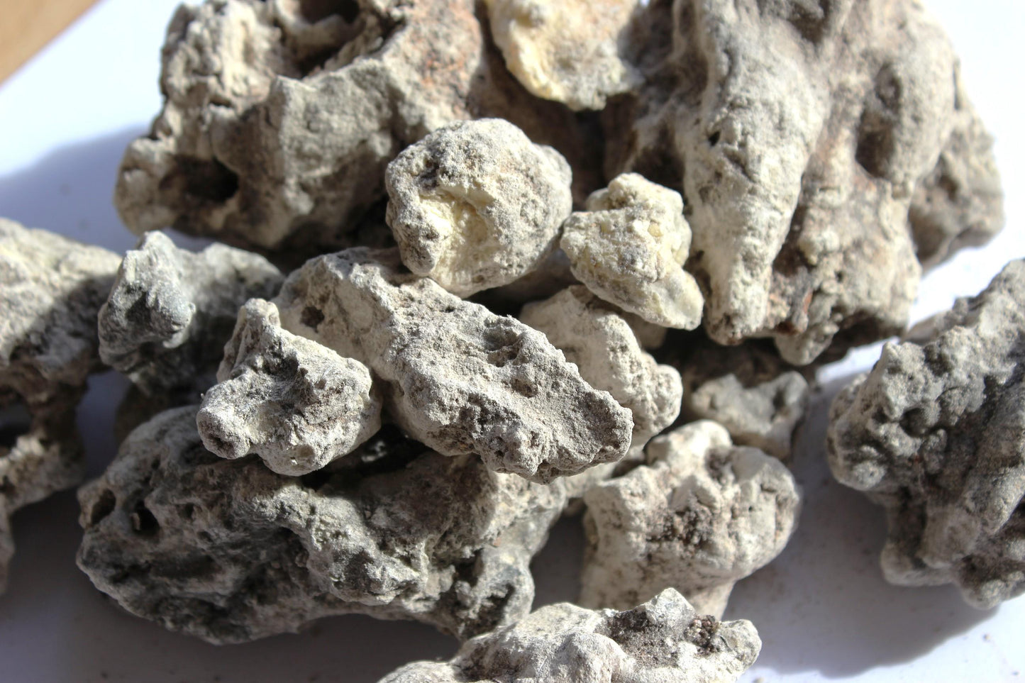 Copal Amazonicum - Incense resin from Peru