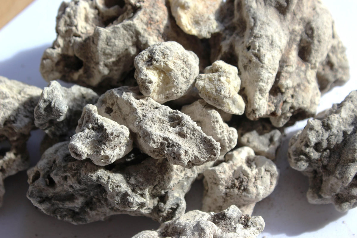 Copal Amazonicum - Incense resin from Peru