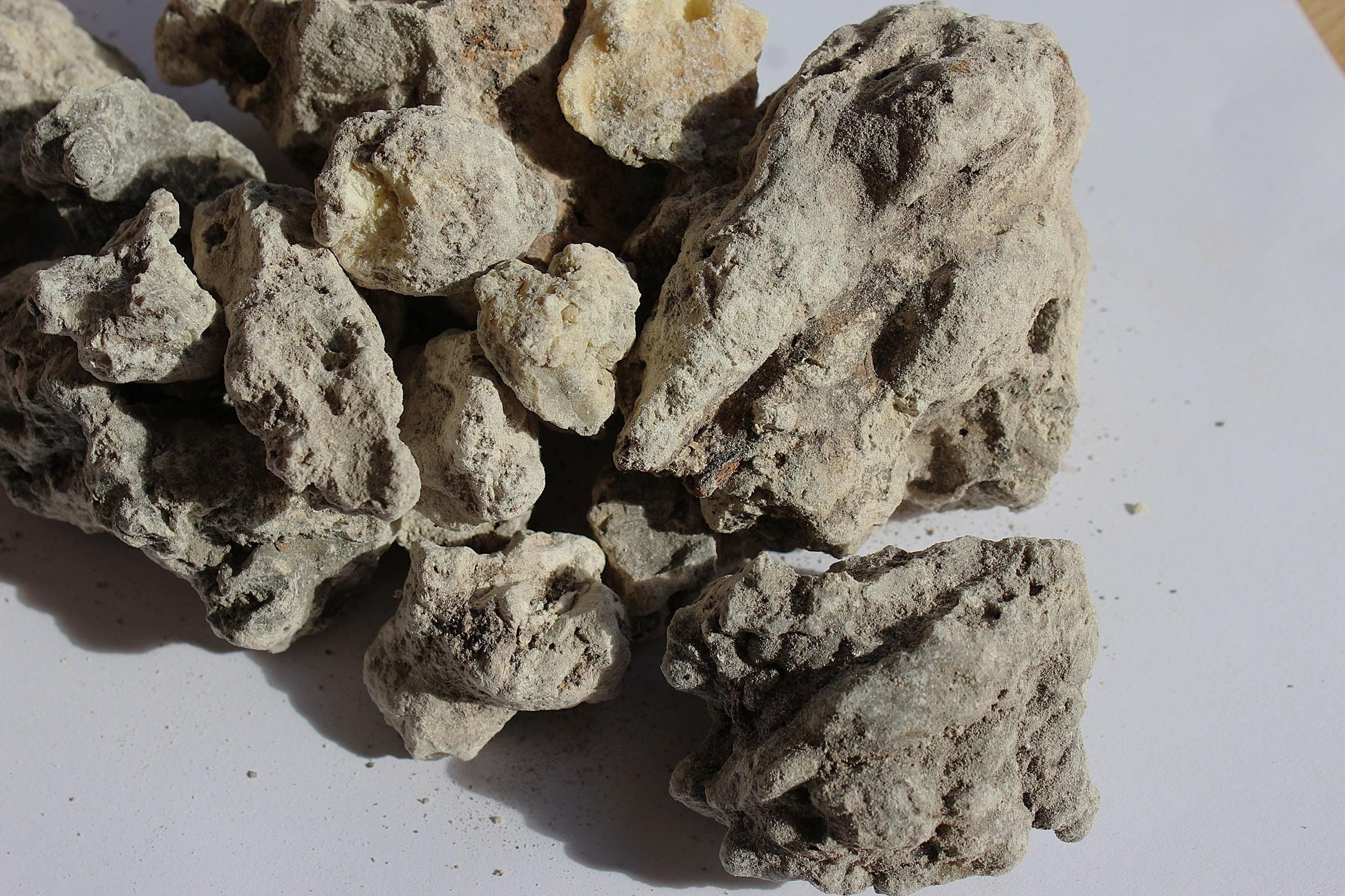 Copal Amazonicum - Incense resin from Peru