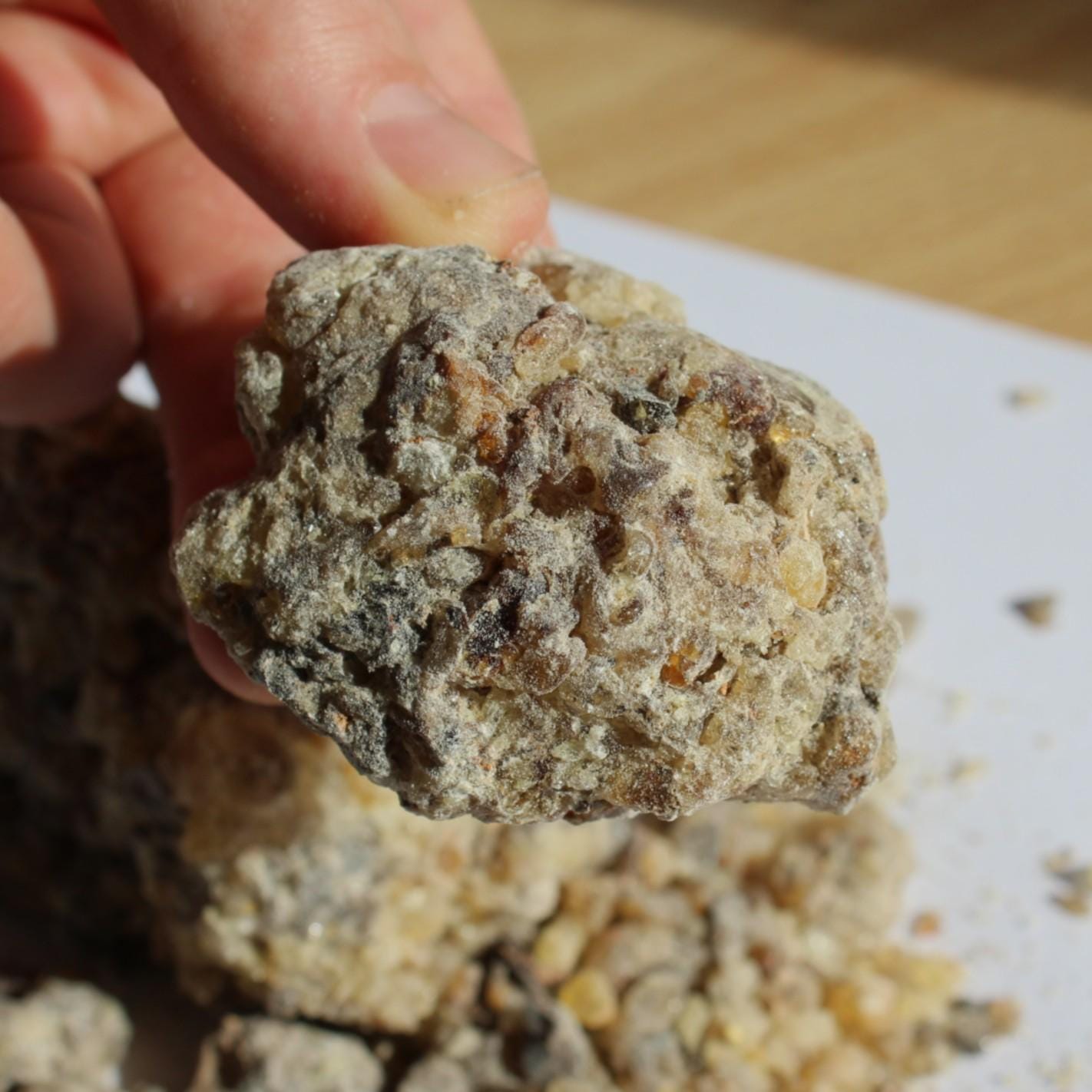 Rarest Frankincense - Boswellia bullata - Floral, piney, citrus incense resin