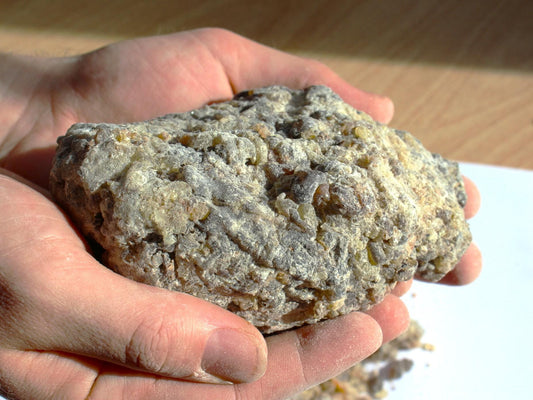 Rarest Frankincense - Boswellia bullata - Floral, piney, citrus incense resin