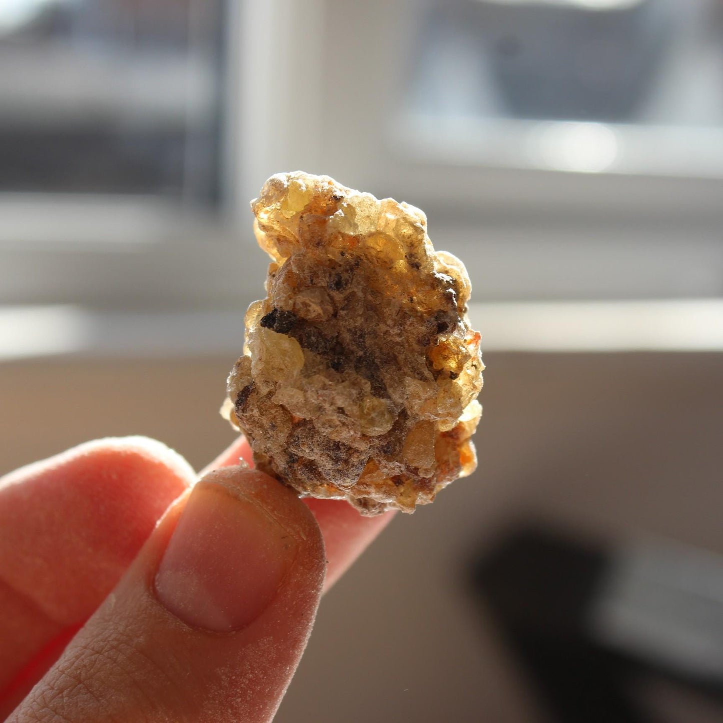 Rarest Frankincense - Boswellia bullata - Floral, piney, citrus incense resin