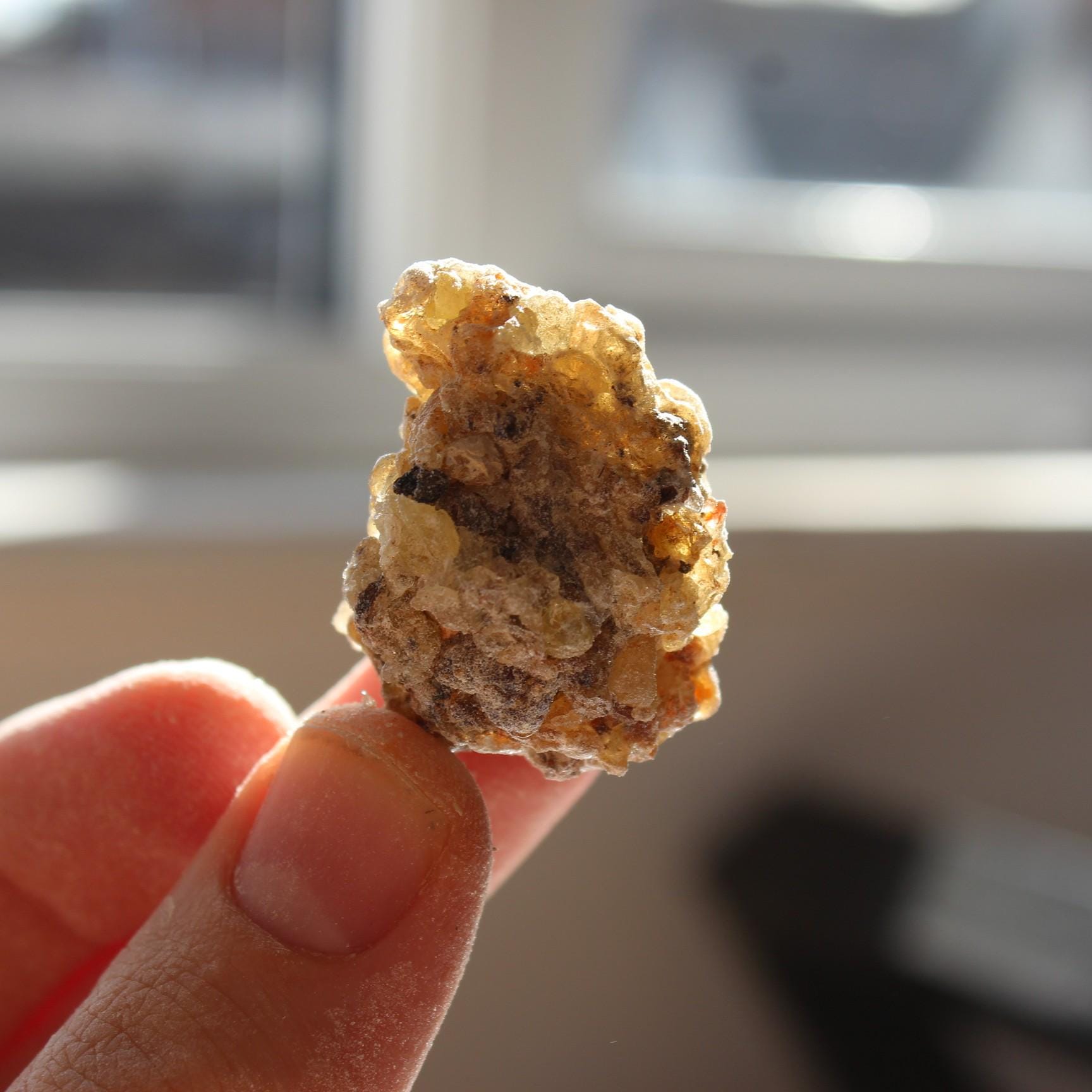 Rarest Frankincense - Boswellia bullata - Floral, piney, citrus incense resin