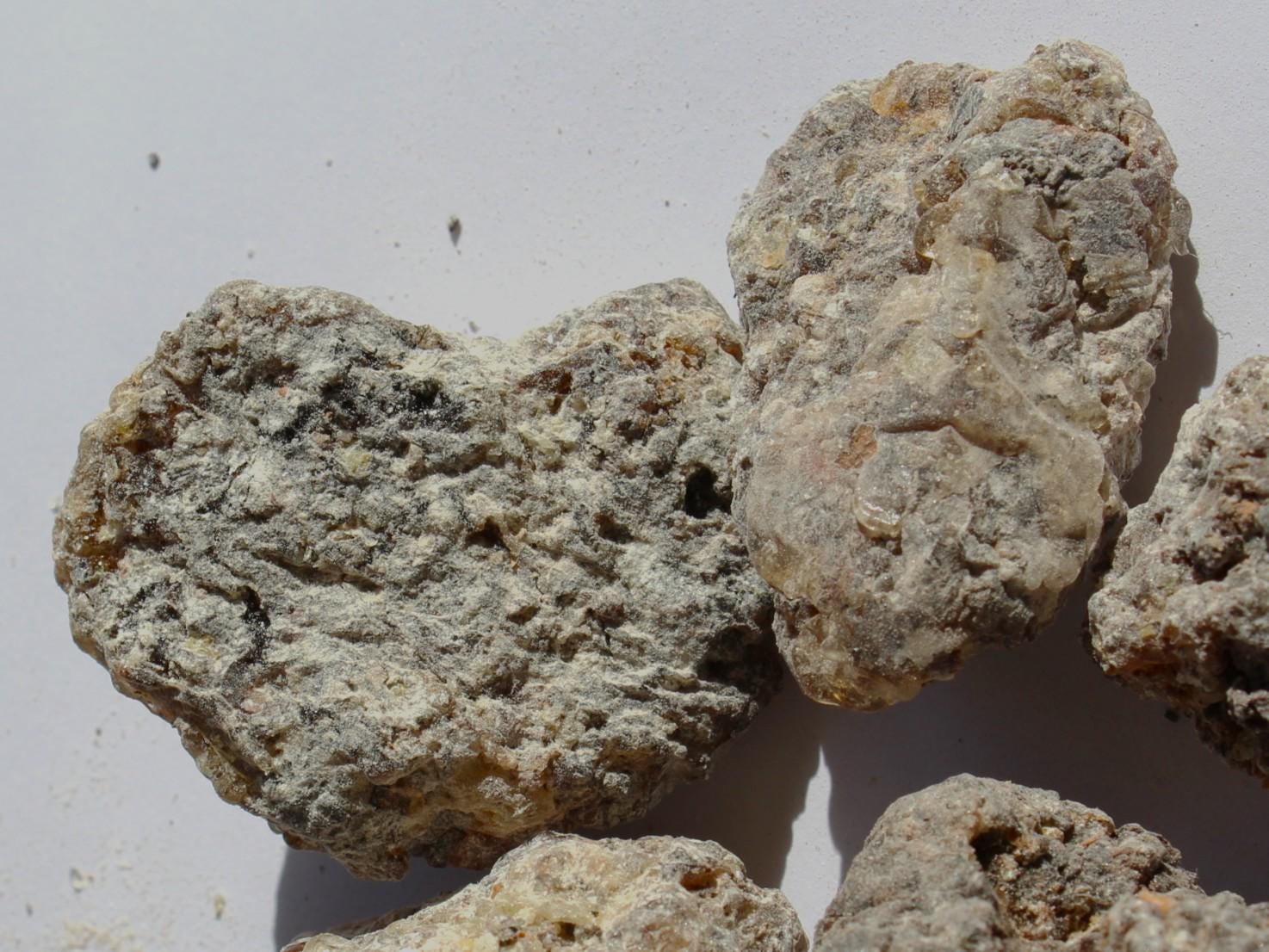 Rare Frankincense - Boswellia ameero - Sweet, piney, spicy incense resin