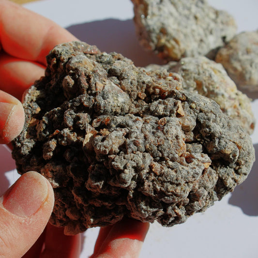 Rare Frankincense - Boswellia ameero - Sweet, piney, spicy incense resin