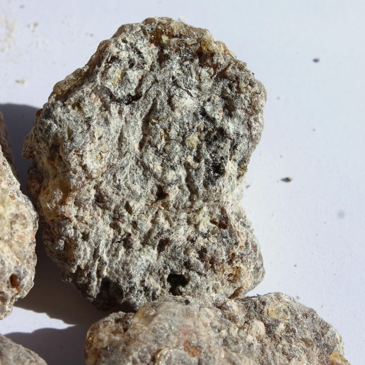 Rare Frankincense - Boswellia ameero - Sweet, piney, spicy incense resin