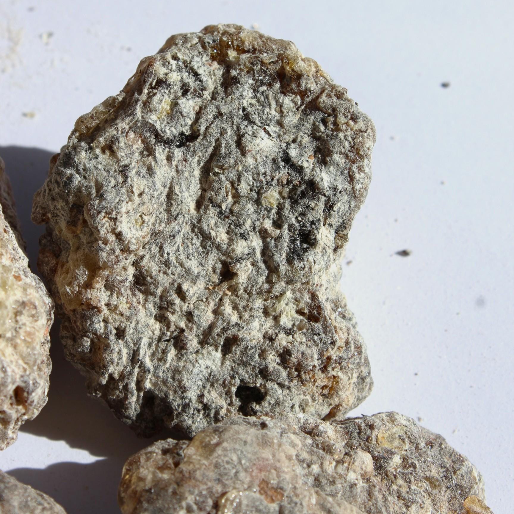 Rare Frankincense - Boswellia ameero - Sweet, piney, spicy incense resin