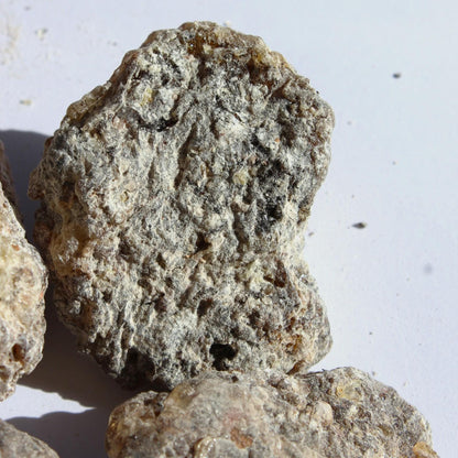 Rare Frankincense - Boswellia ameero - Sweet, piney, spicy incense resin