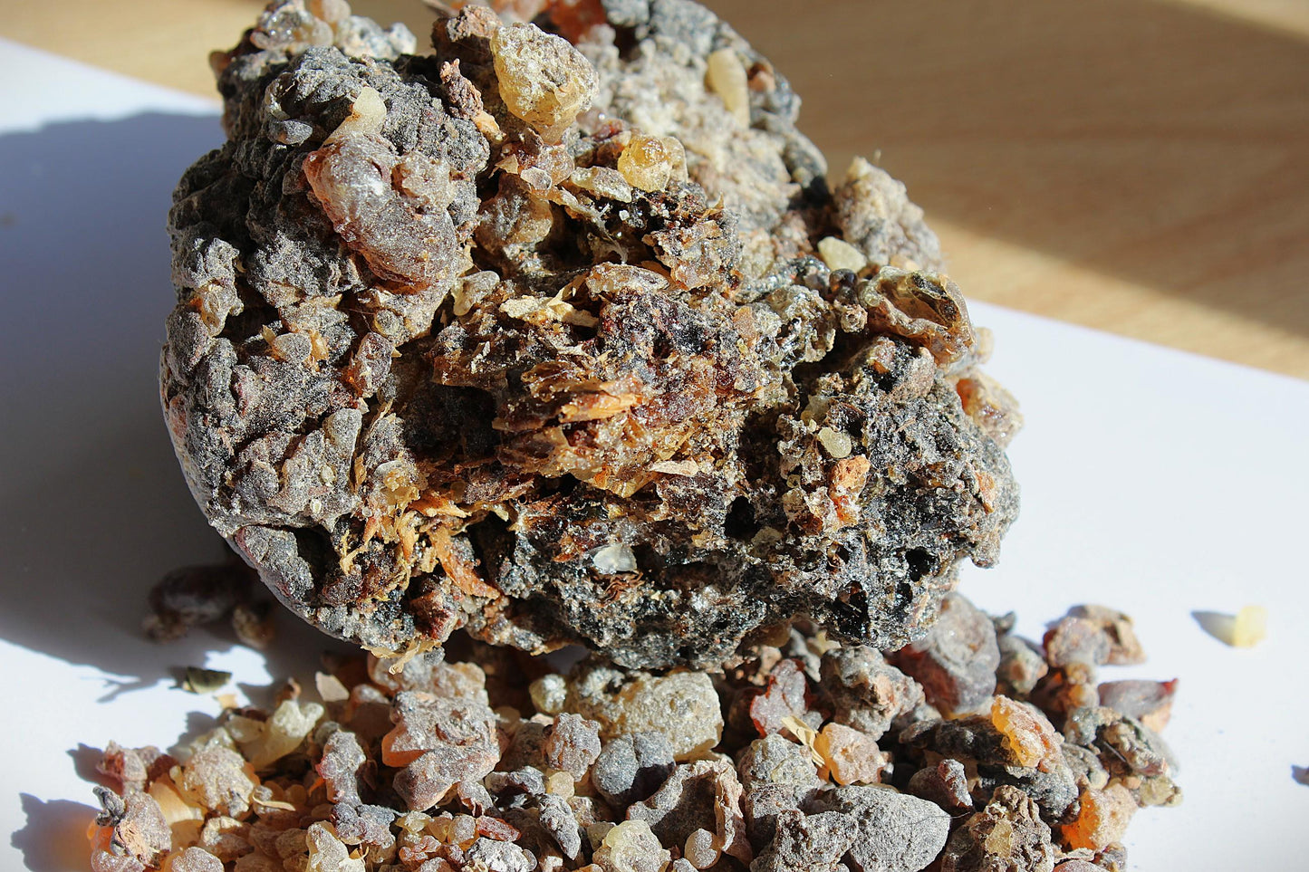 Dark Socotran Frankincense - Boswellia aspleniifolia