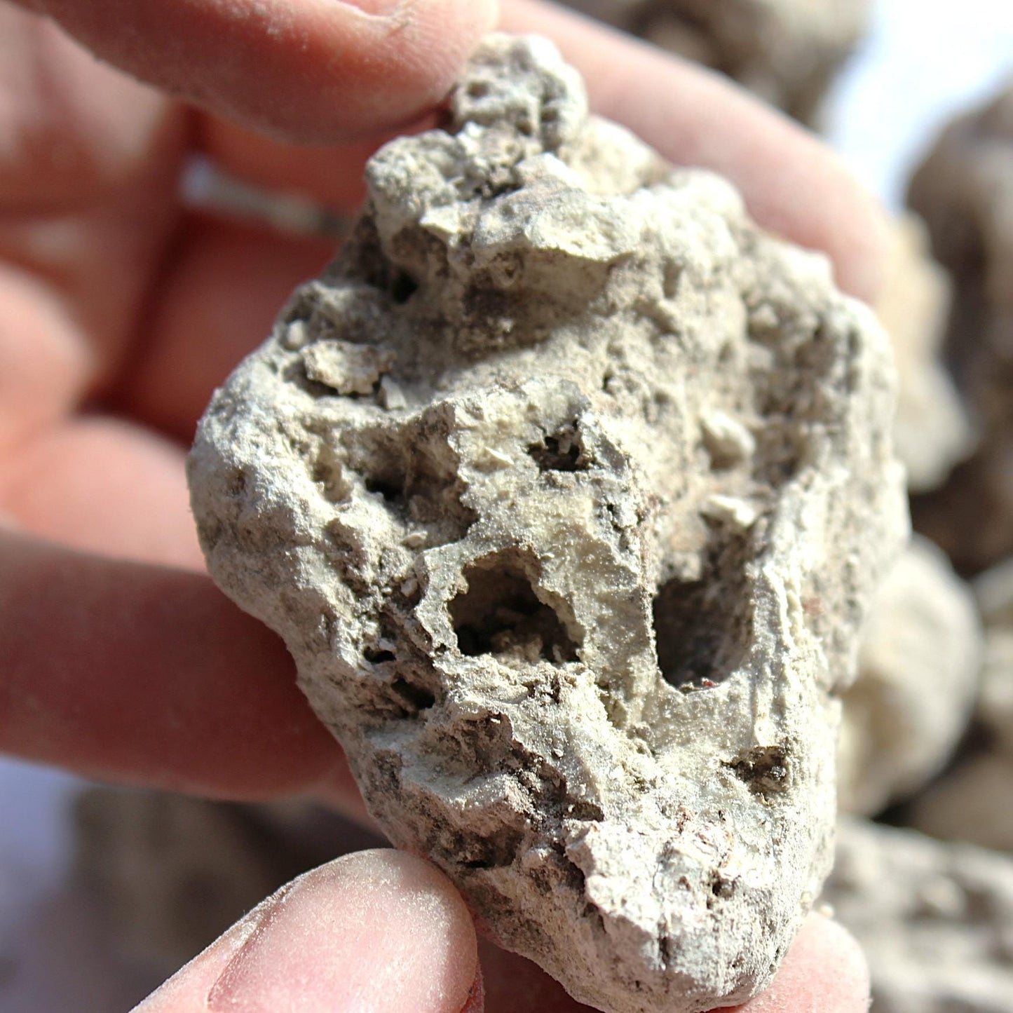 Copal Amazonicum - Incense resin from Peru