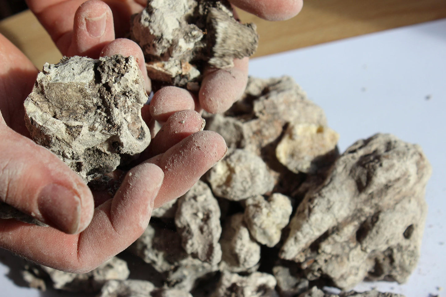 Copal Amazonicum - Incense resin from Peru
