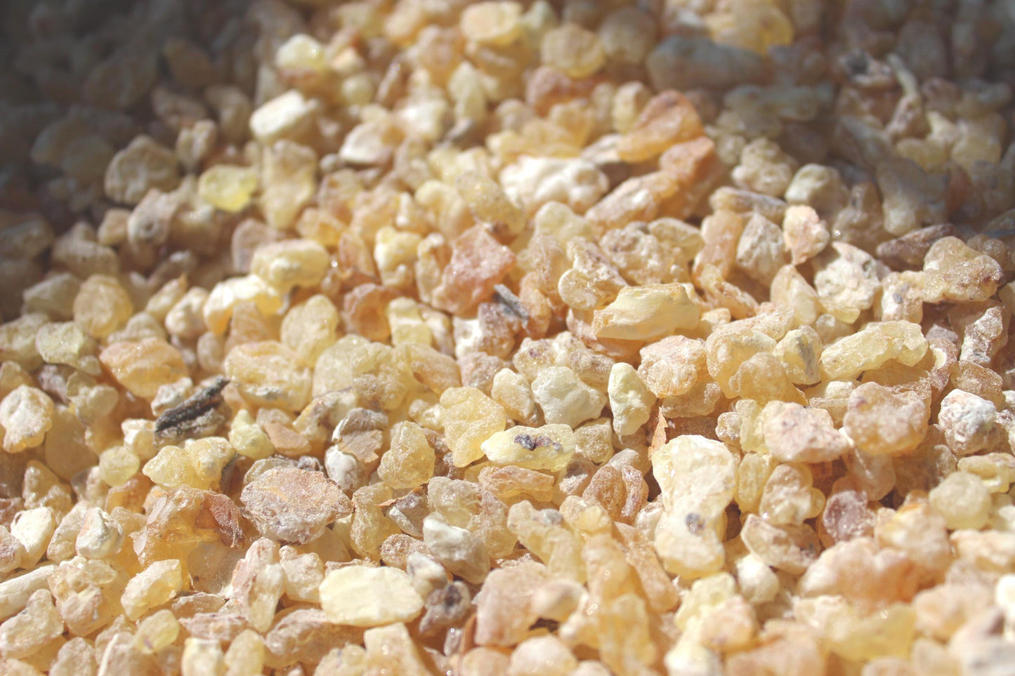 Golden Fas Kabir Frankincense