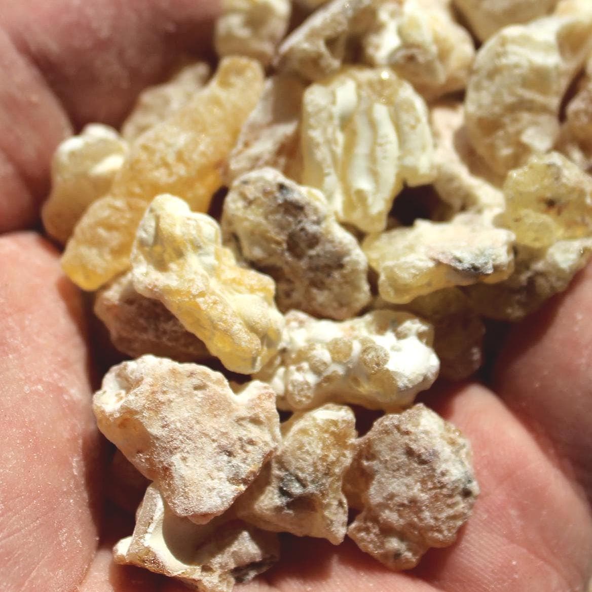 Golden Mujaarwal Frankincense