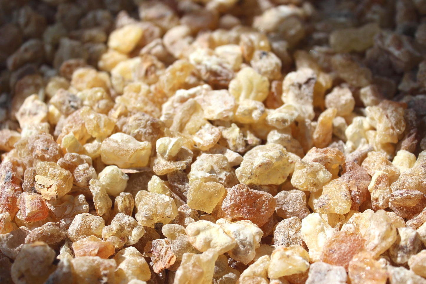 Golden Mujaarwal Frankincense