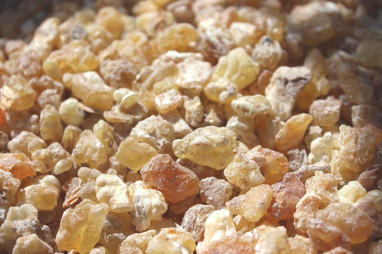 Golden Mujaarwal Frankincense