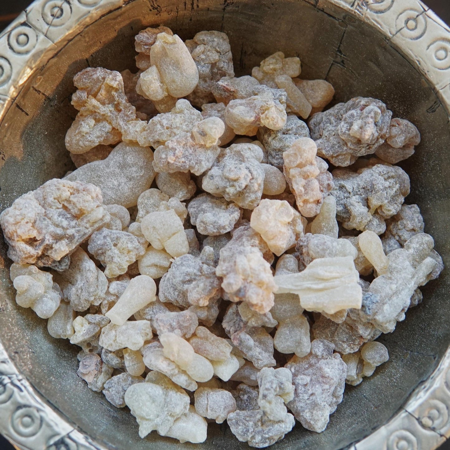 Indian Frankincense - Boswellia serrata - Grade 2