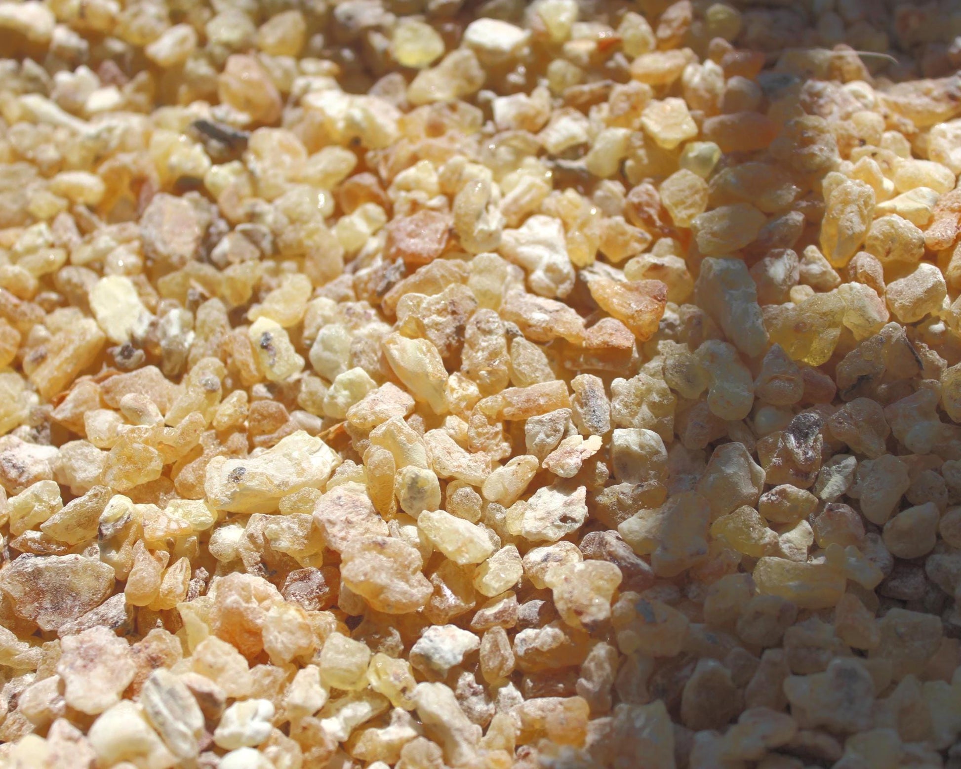 Golden Fas Kabir Frankincense