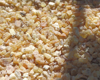 Golden Fas Kabir Frankincense 20g-100g