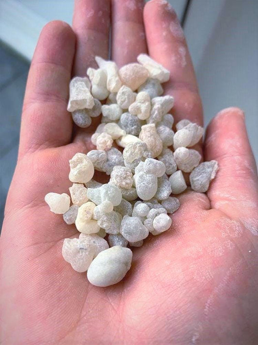 Organic Royal Green Hojari - Normal Size Tears - Frankincense resin - Boswellia sacra