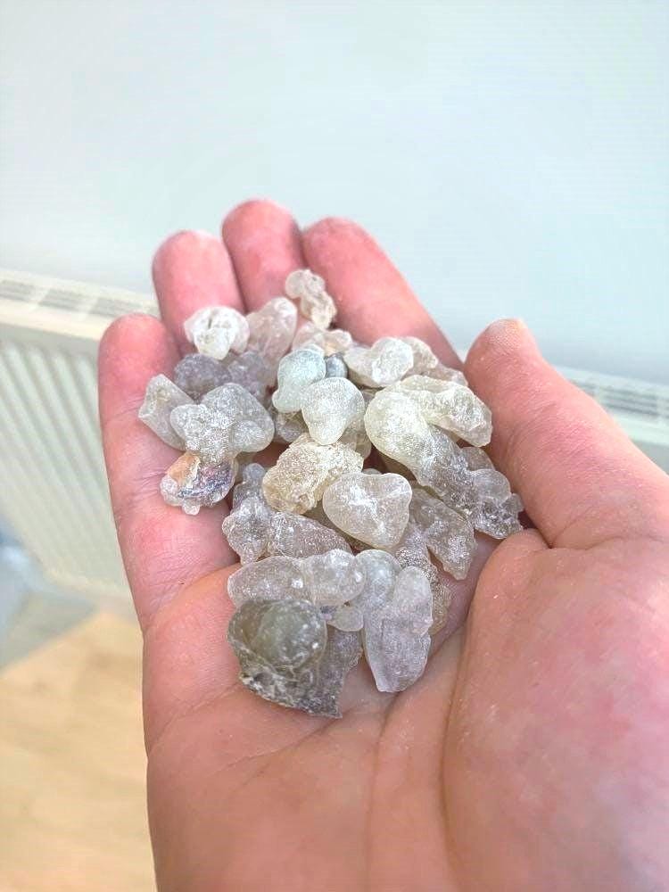 Organic Royal Green Hojari - Normal Size Tears - Frankincense resin - Boswellia sacra