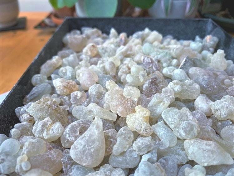 Organic Royal Green Hojari - Normal Size Tears - Frankincense resin - Boswellia sacra