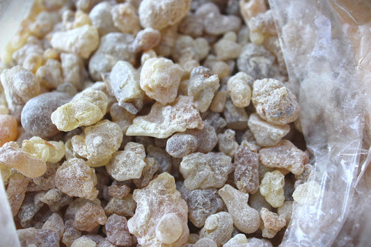 Red Royal Frankincense - Sweet, boswellic incense resin - Boswellia sacra