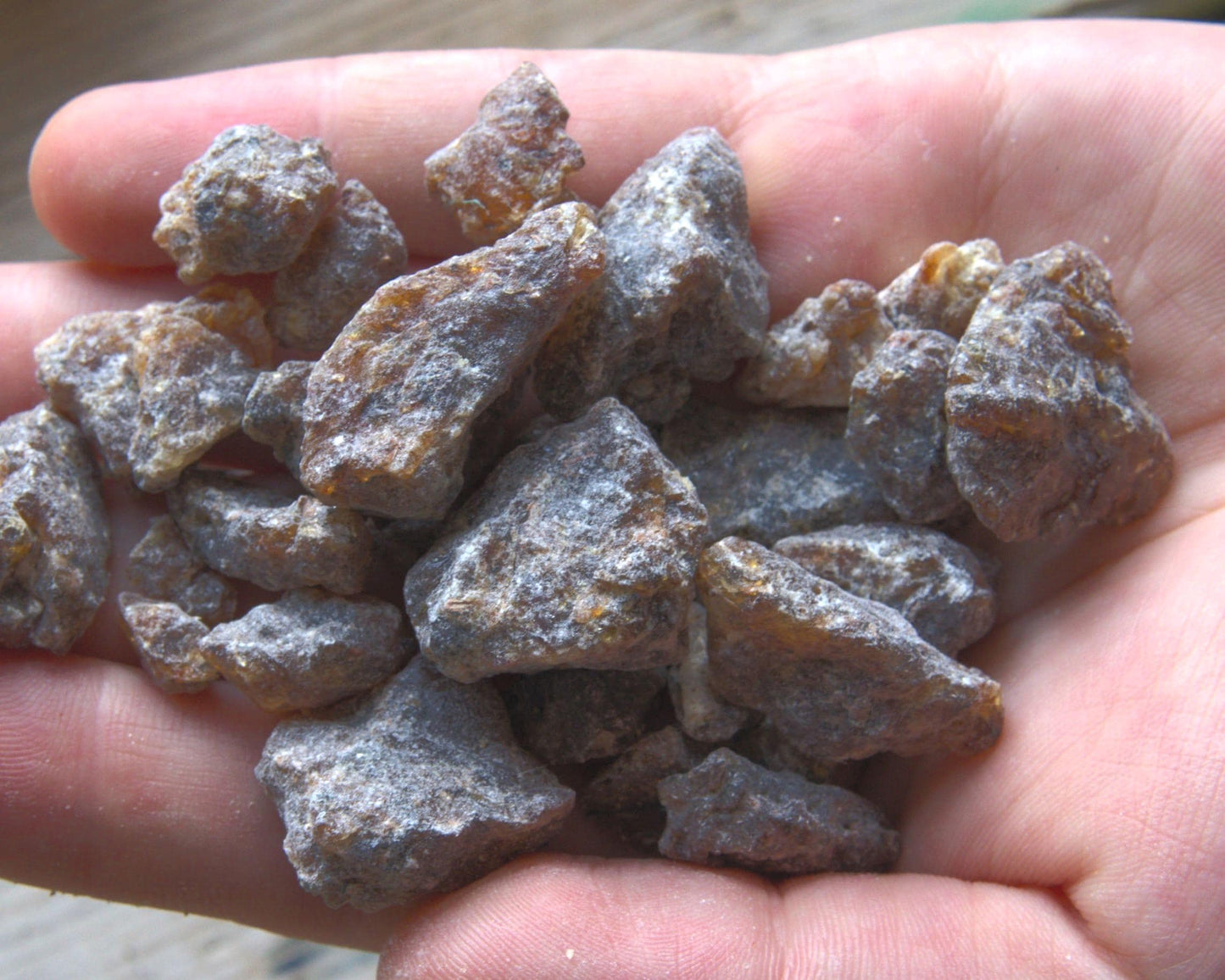 Wild "Honey" Frankincense Resin