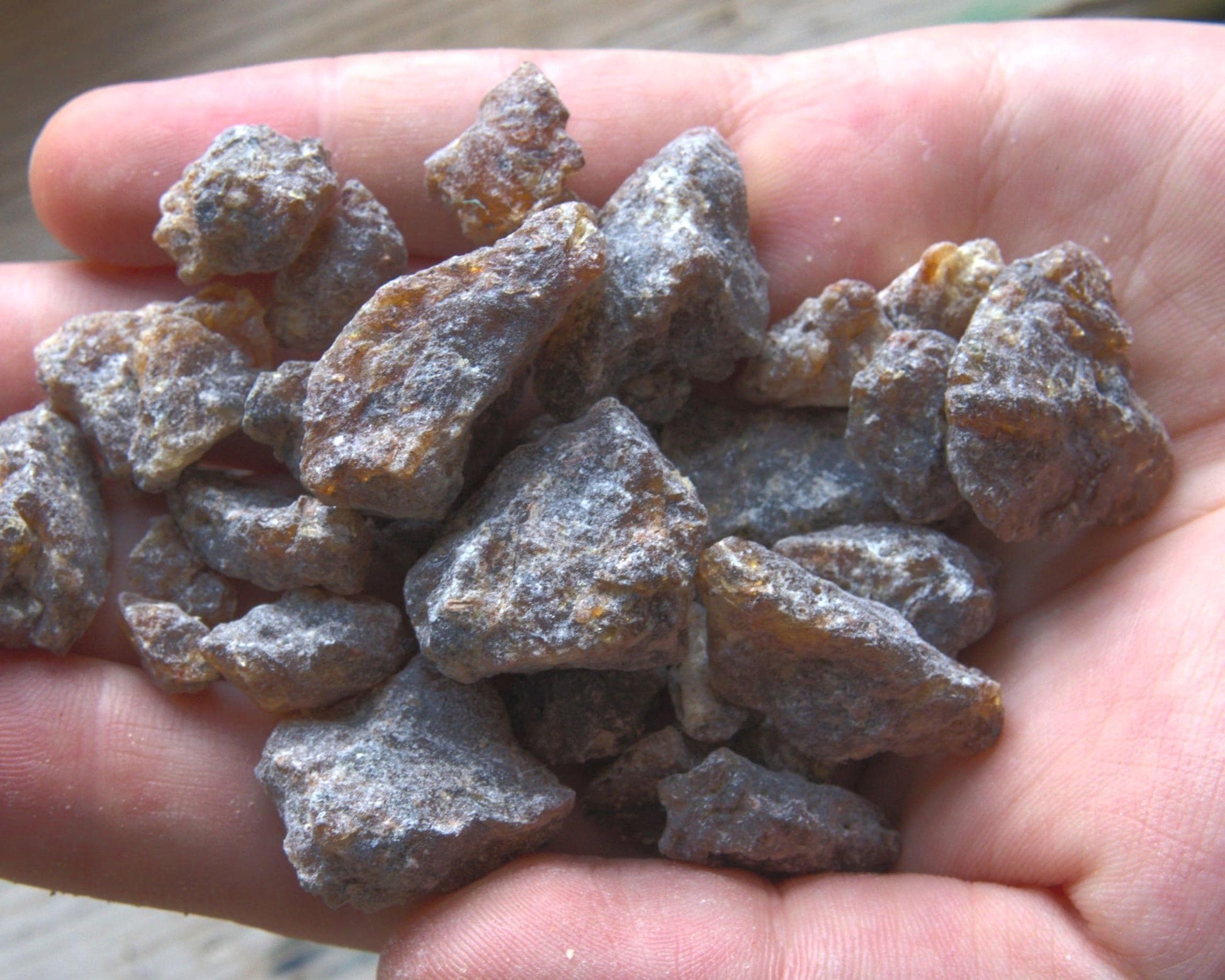 Wild "Honey" Frankincense Resin